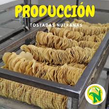 Totopos normales 